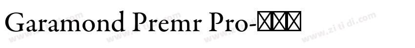 Garamond Premr Pro字体转换